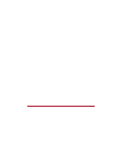 BSB Logo